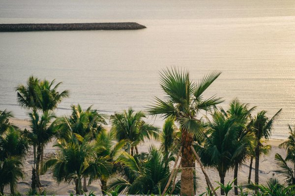 How Has the UK Tourism Industry Adapted to the Changing Trends?